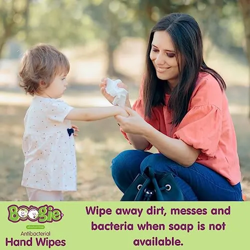 Antibacterial Hand Wipes by Boogie, Alcohol Free, Hypoallergenic and Moisturizing Aloe, Hand Wipes for Kids and Adults, 5 Packs of 20 (100 Total Wipes)