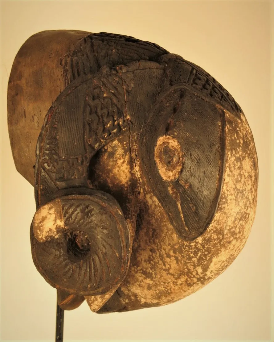 Goli Ram Mask